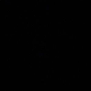 Meet your Posher, Noah